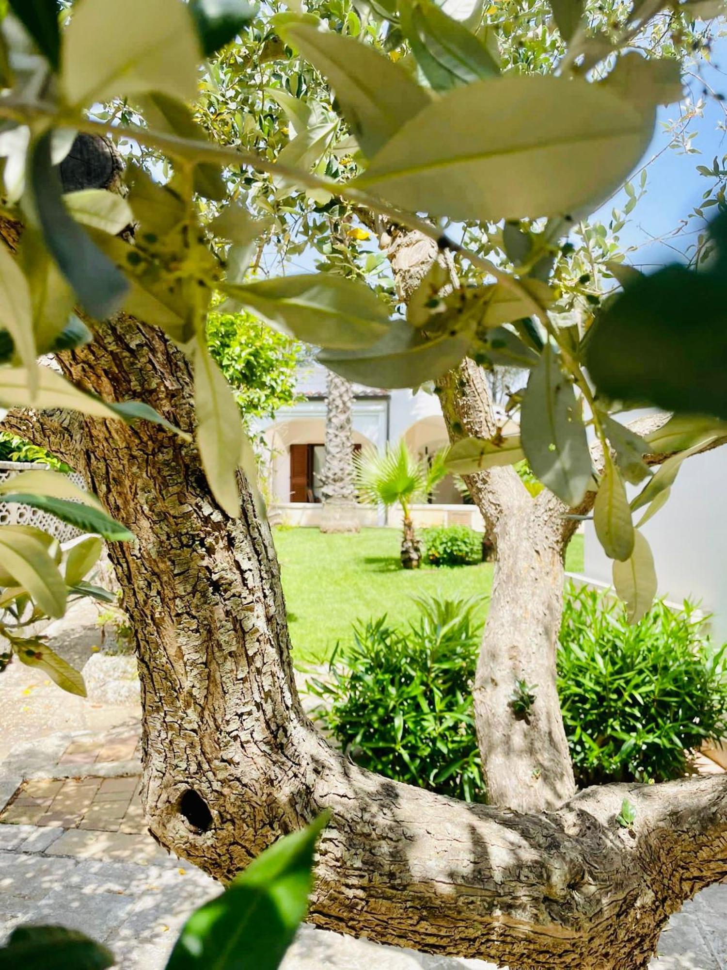 Trulli Ada Villa Noci Eksteriør bilde